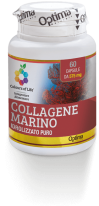 collagene